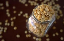 lentil_miju-miju_karbohidrat_gula darah