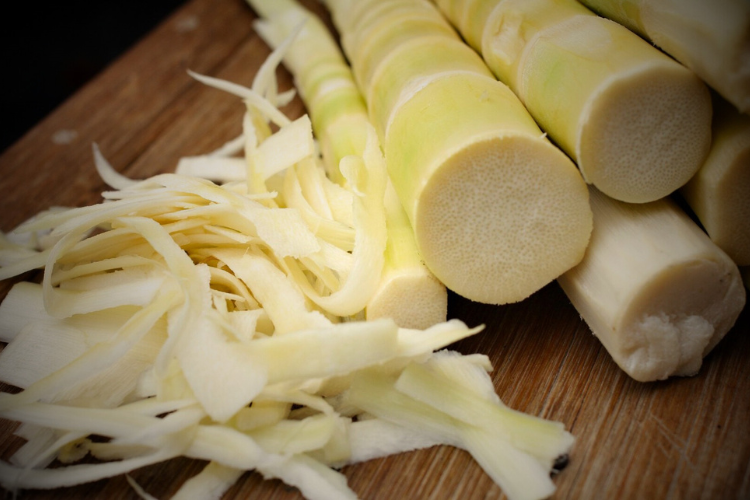 manfaat kesehatan rebung bambu