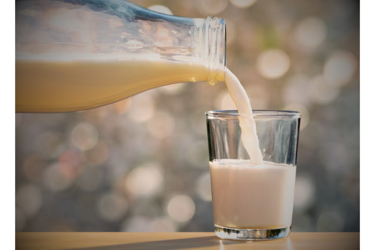 memilih produk susu