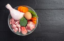 zat_besi