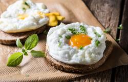 berapa kandungan protein dalam sebutir telur