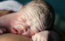 manfaat lapisan vernix caseosa pada bayi baru lahir