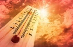 seorang kurir meninggal karena heat stroke