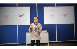 obesitas pada berat badan normal