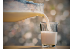 memilih produk susu